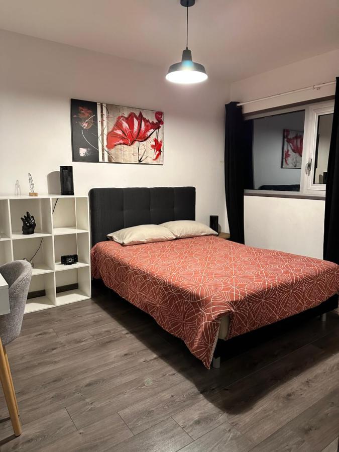 Ferienwohnung Magnifique Loft - Hyper Centre Annemasse Exterior foto
