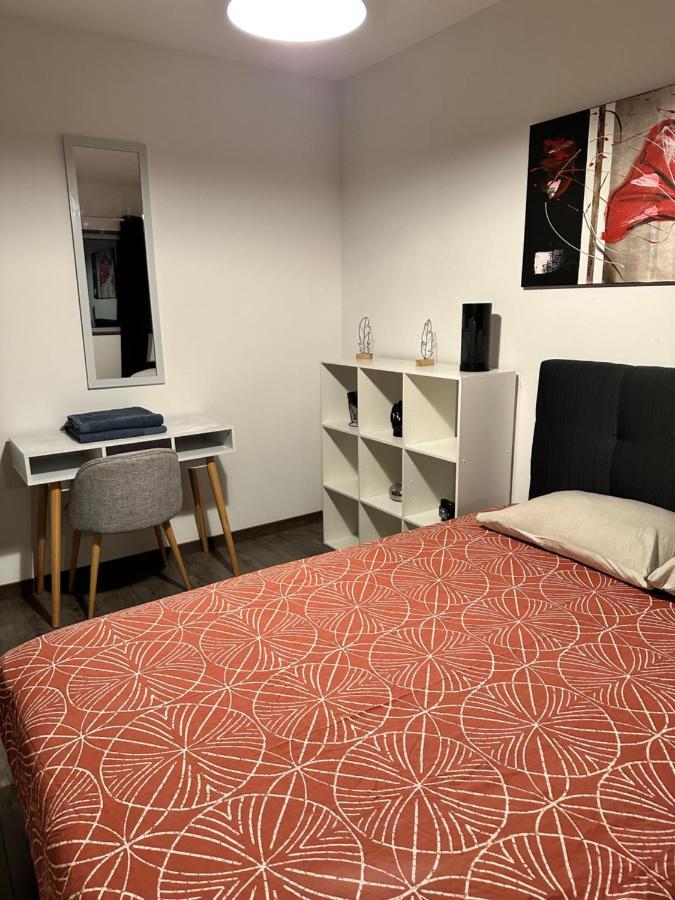 Ferienwohnung Magnifique Loft - Hyper Centre Annemasse Exterior foto