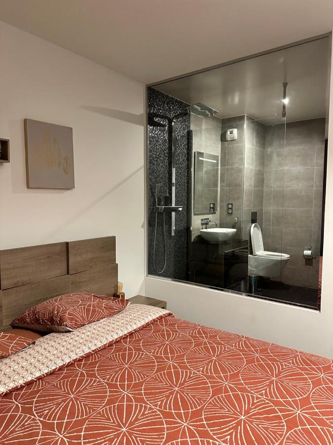 Ferienwohnung Magnifique Loft - Hyper Centre Annemasse Exterior foto